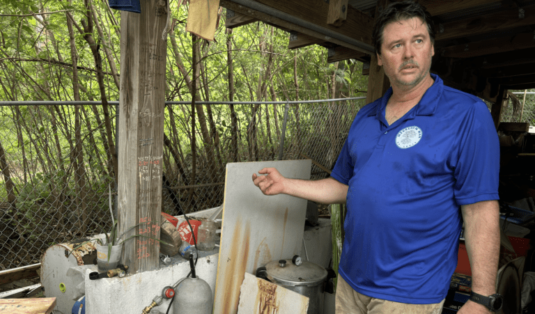 Mycelium Man Finds Quality Growing Conditions for Mushrooms on St. Croix